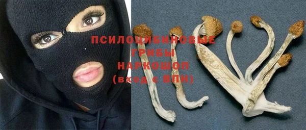 МДПВ Горняк