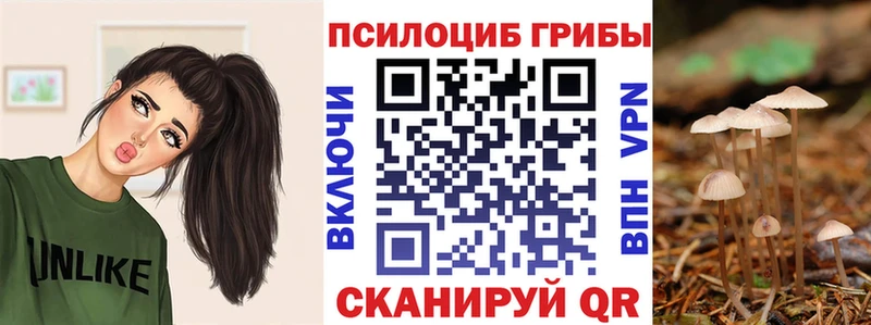 Галлюциногенные грибы Psilocybe  Томилино 
